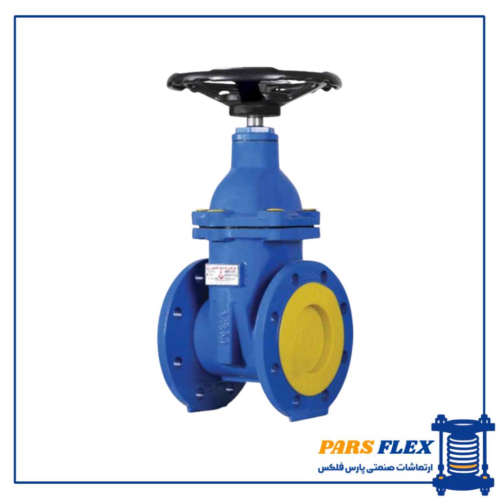 خدایاری (31) شیر کشویی زبانه لاستیکی pn16 وگ امید گلستان 10 اینچ