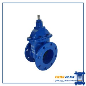 شیر فلکه زبانه لاستیکی شیرود 2 اینچ