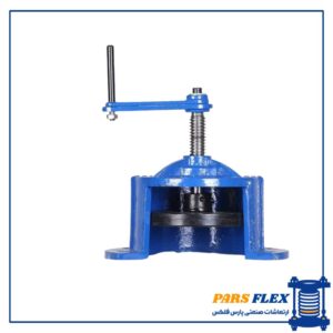 شیر ته خط (هندلی) وگ امید گلستان