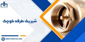 شیر یک طرفه کوچک